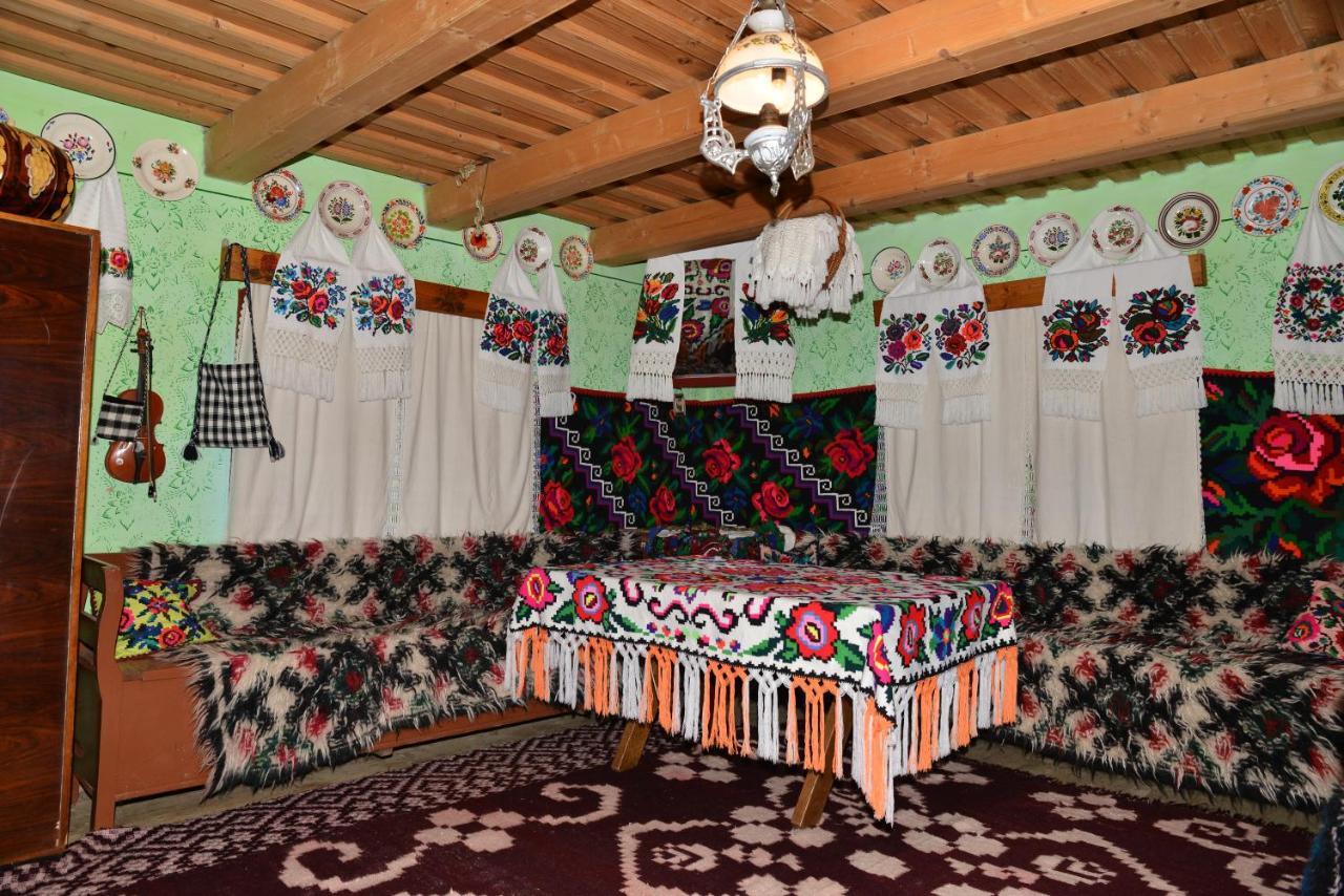 Pensiunea Armonia Văleni エクステリア 写真