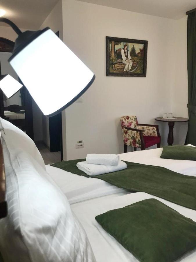 Pensiunea Armonia Văleni エクステリア 写真